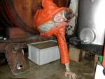 Lavage des vases en bois