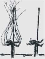 Taille gobelet