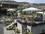 Visite Ans de Bellevue (GE)